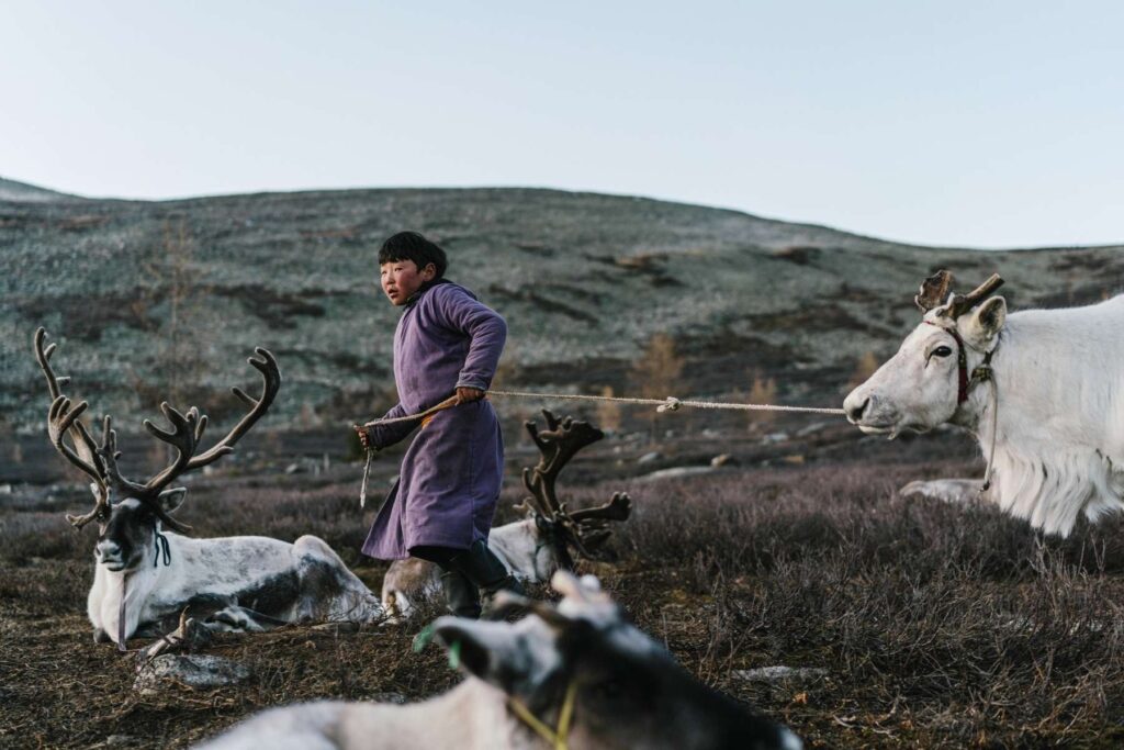 Reindeer Herders in Mongolia 