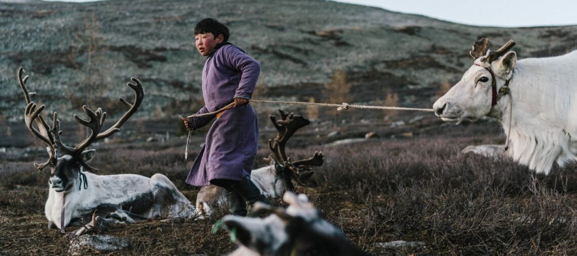 Reindeer Herders in Mongolia