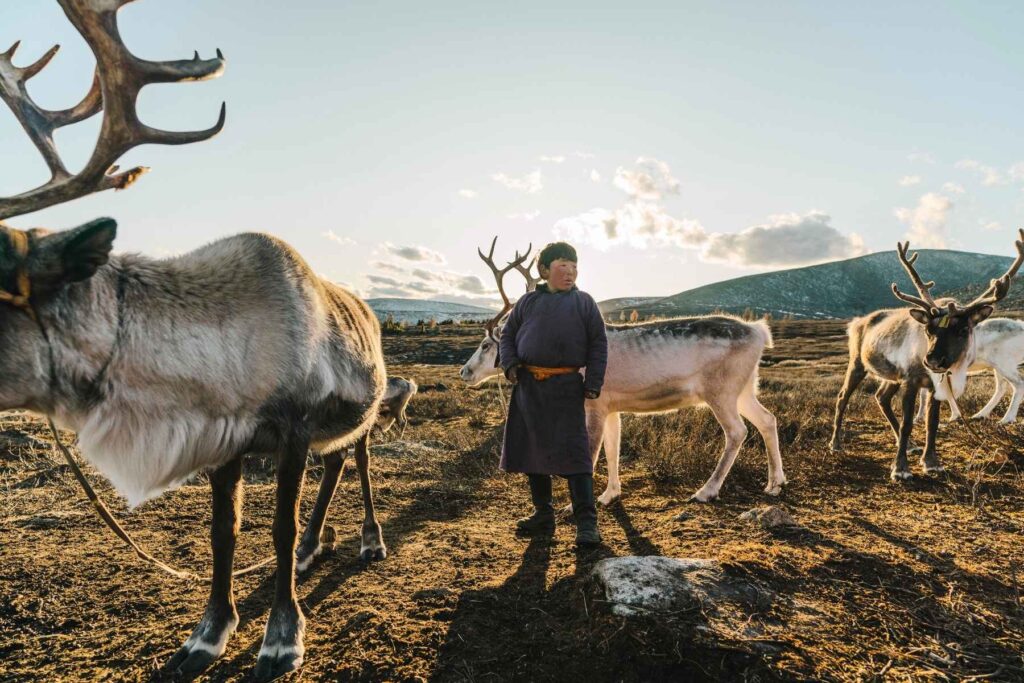 Reindeer Herders in Mongolia 