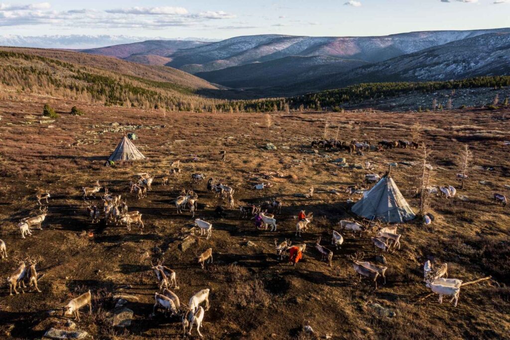 Reindeer Herders in Mongolia 