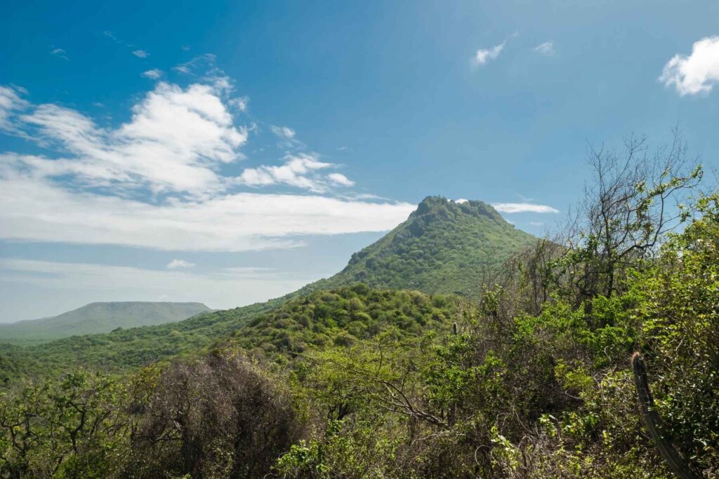 Christoffel Mountain