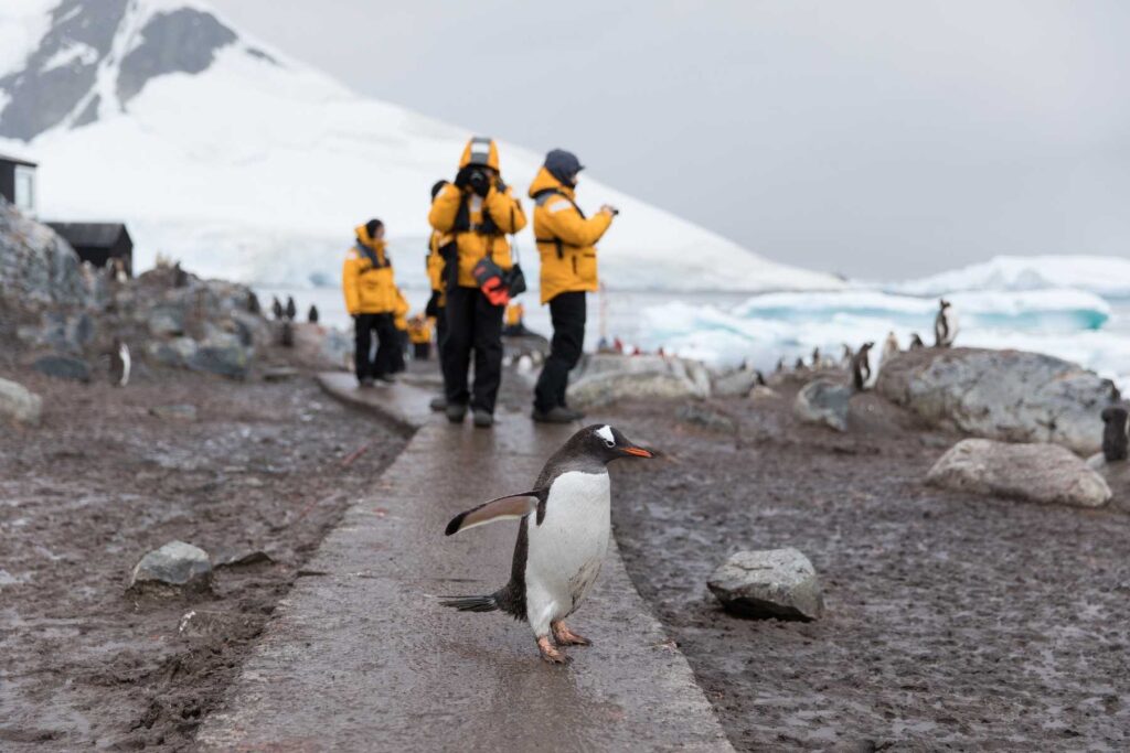 antarctica