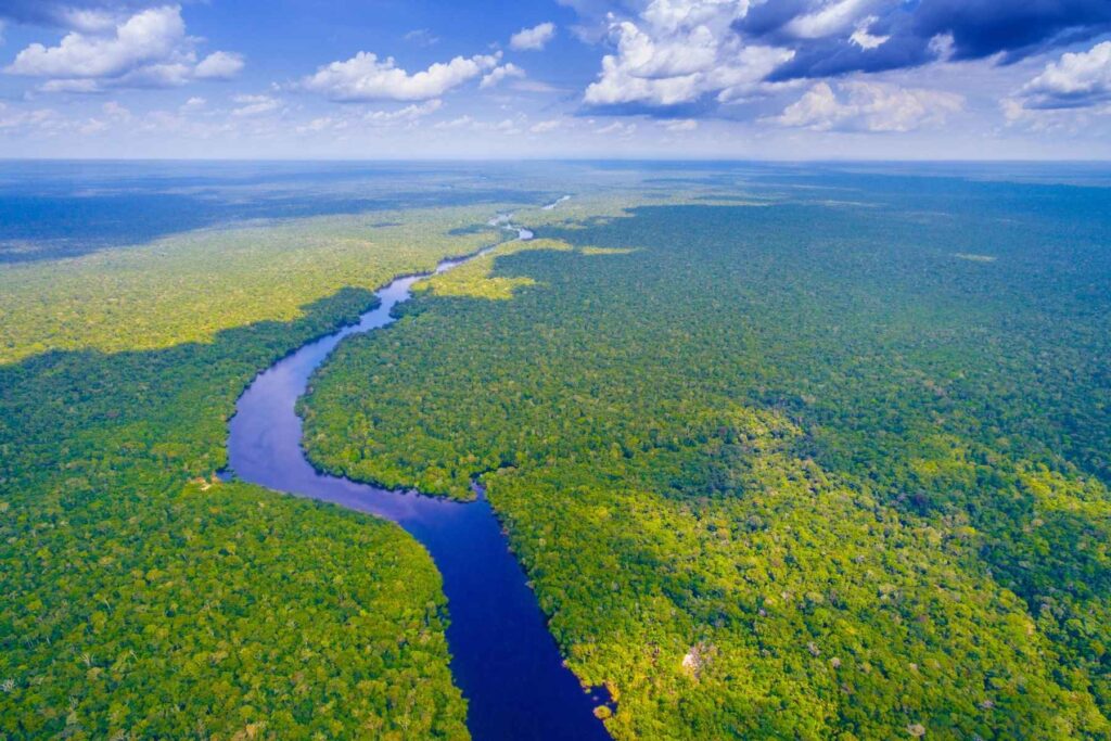 Amazon rainforest