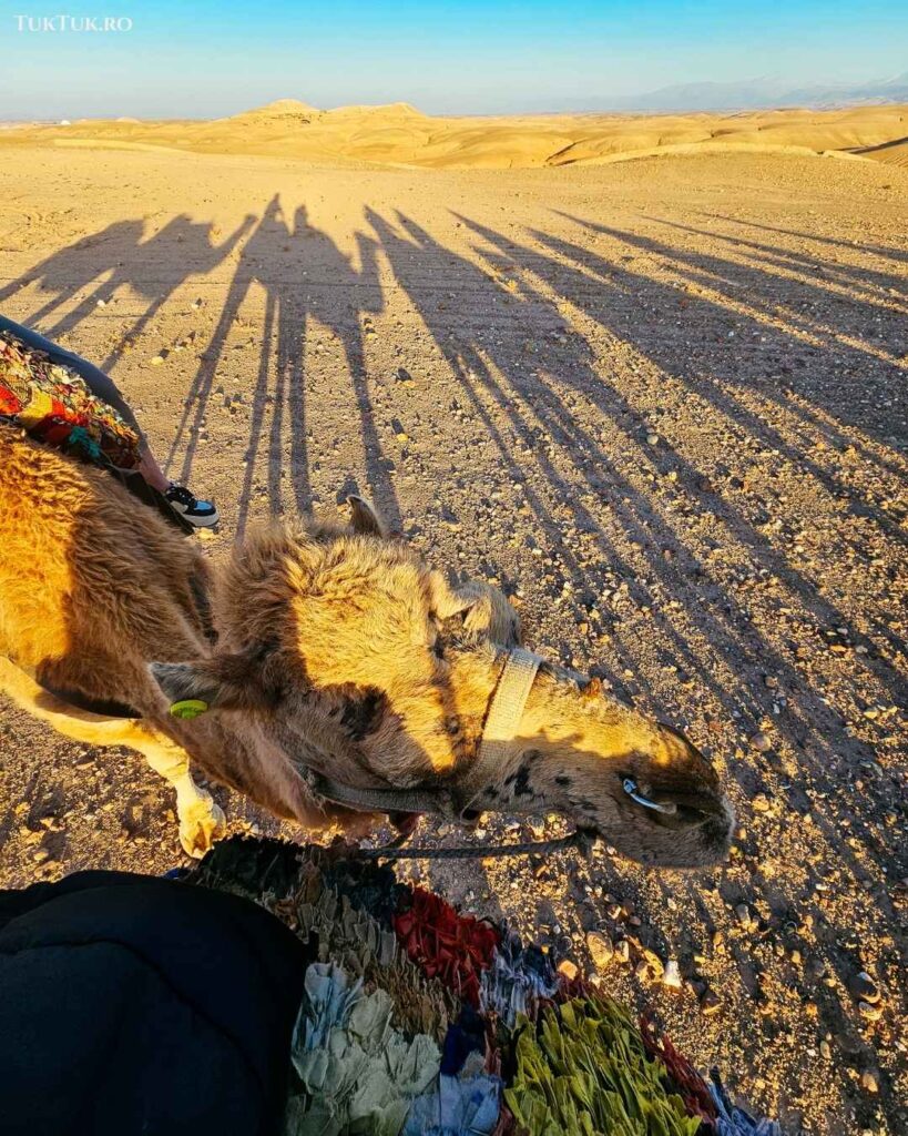 Agafay Desert (4)