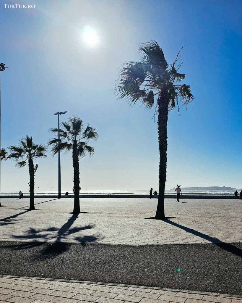 Essaouira (14)