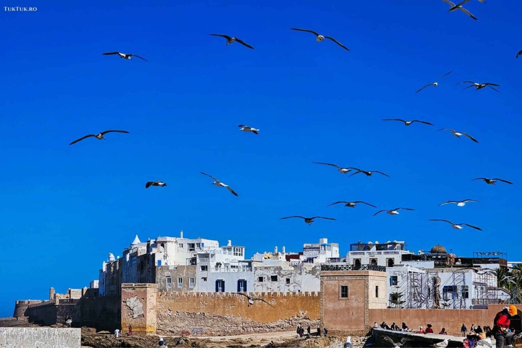 Essaouira (18)