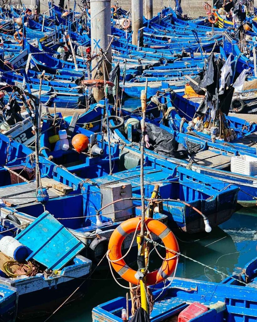 Essaouira (3)