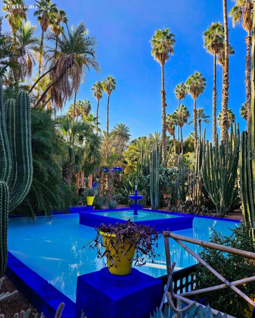 Majorelle Gardens 