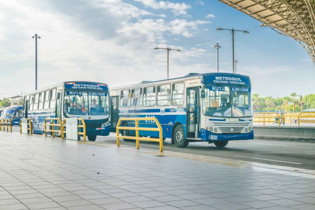 bus ecuador