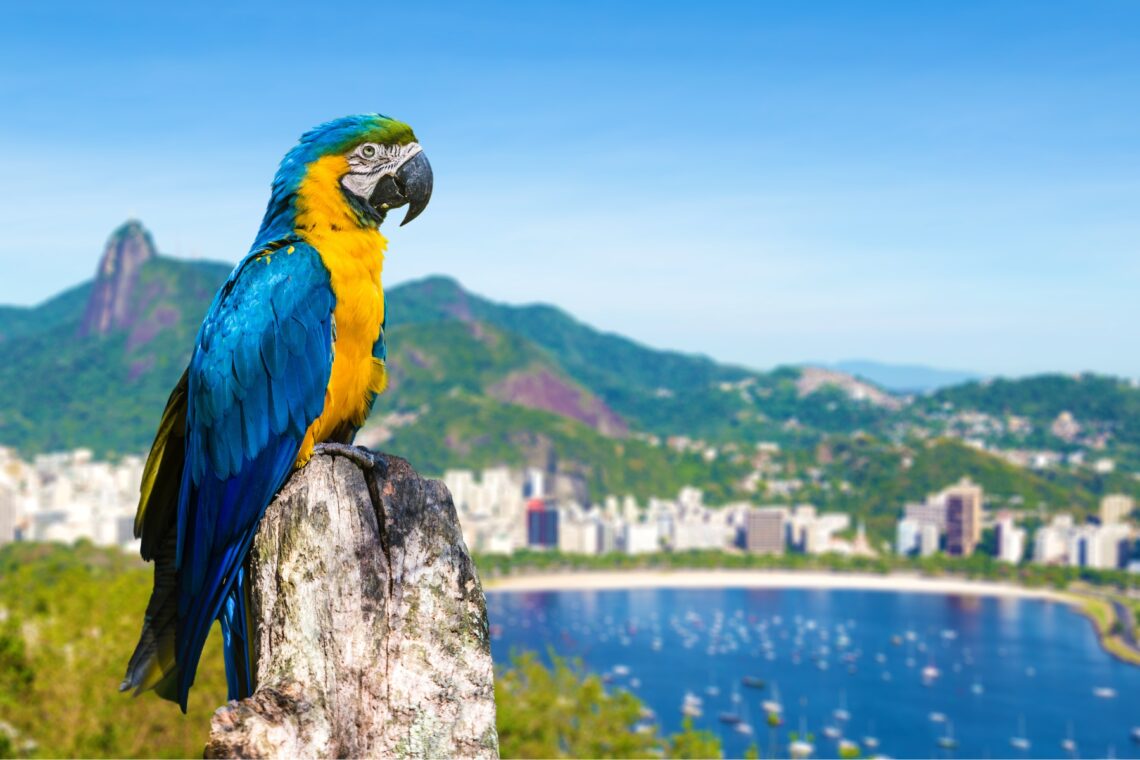 How To Cut Your Travel Costs In South America