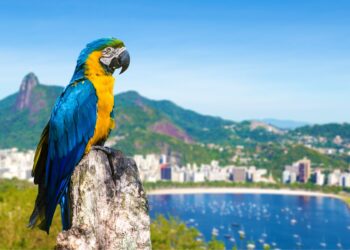 How To Cut Your Travel Costs In South America