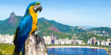 How To Cut Your Travel Costs In South America